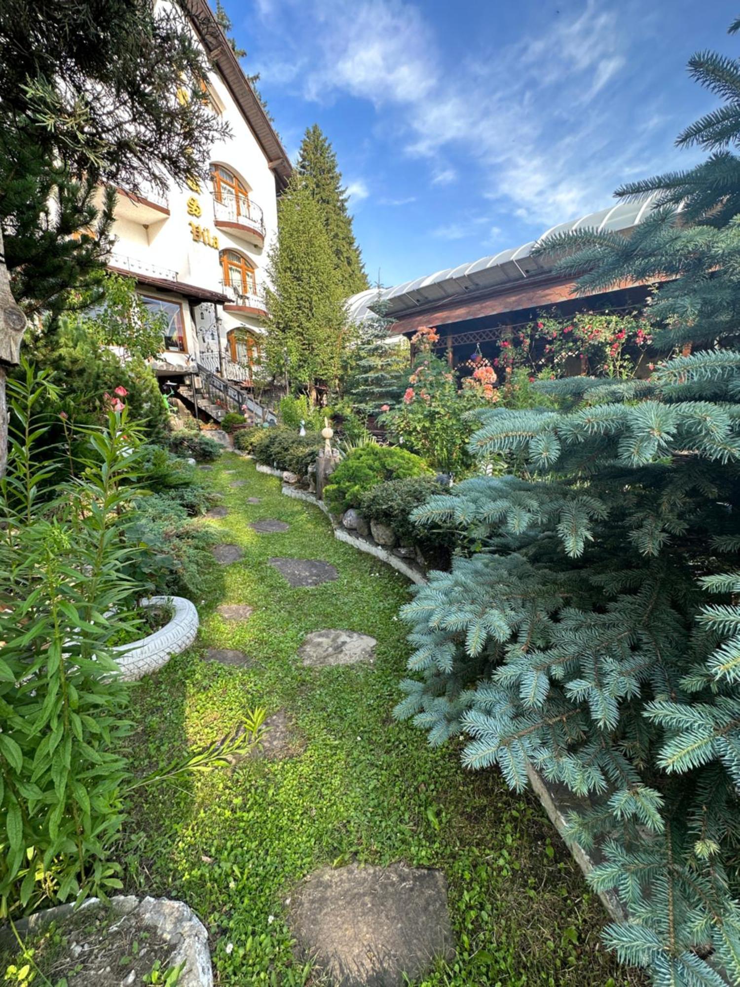 Pensiunea Crocus - Sauna & Billiard Poiana Brasov Eksteriør billede